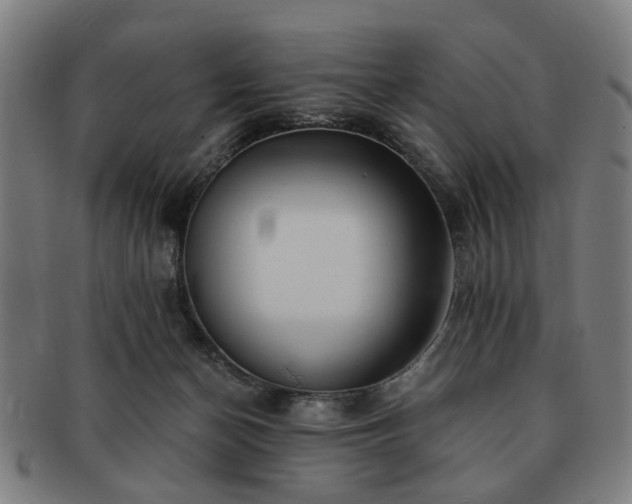 X0000091700174200708311101
