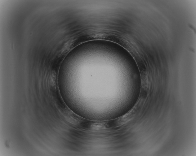X0000091700175200708311101