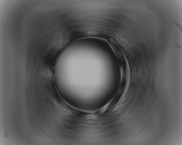 X0000091700176200708311101