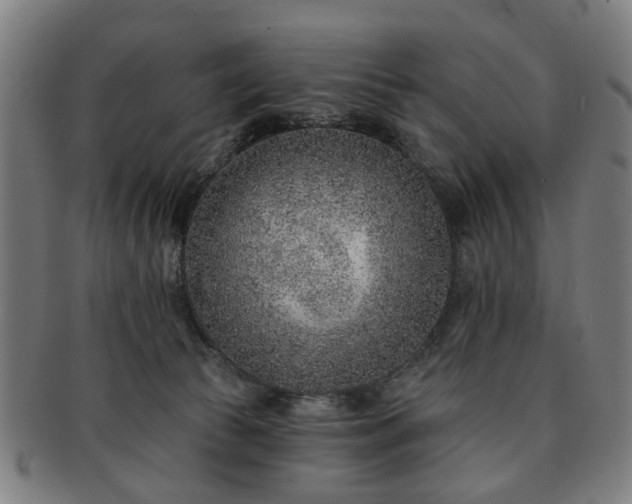 X0000091700177200708311101