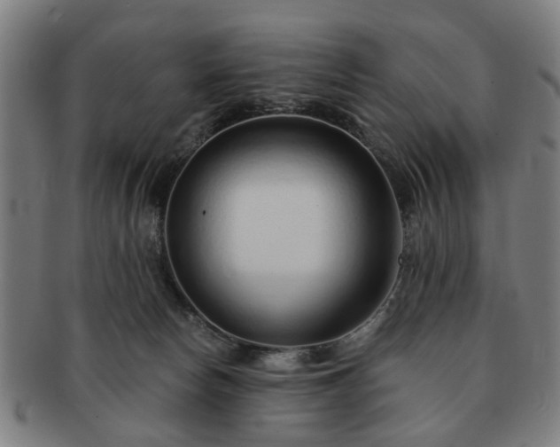 X0000091700178200708311101