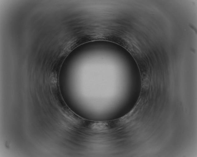 X0000091700179200708311101