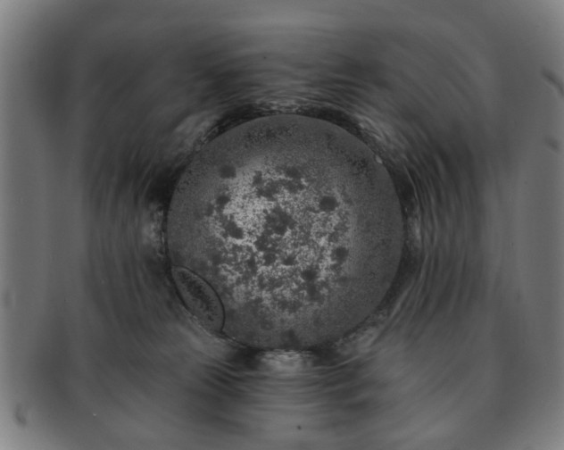 X0000091700181200708311101