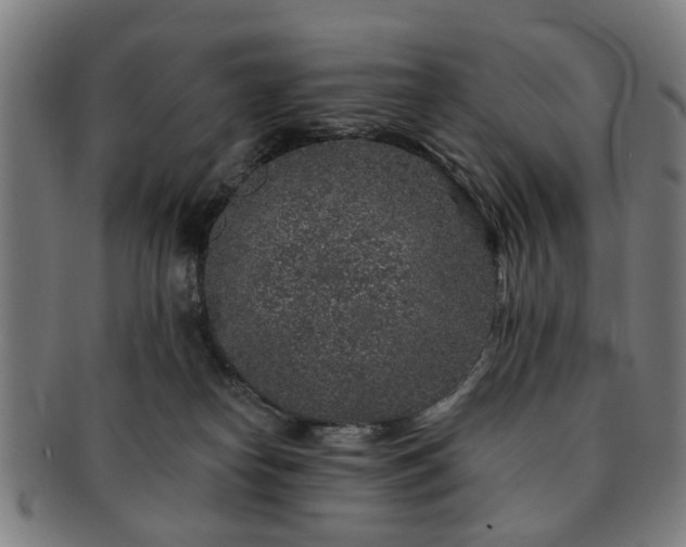 X0000091700182200708311101