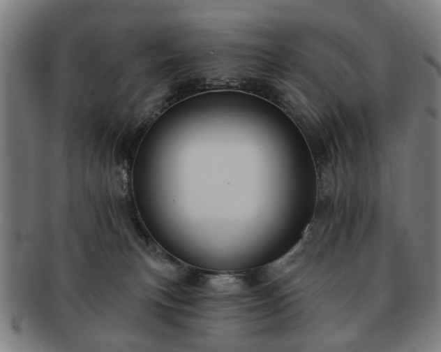X0000091700183200708311101