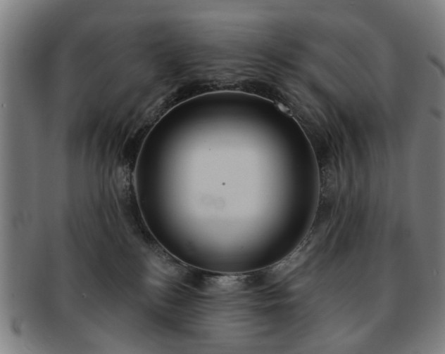 X0000091700184200708311101