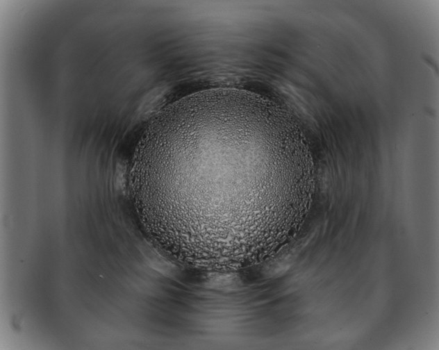 X0000091700185200708311101