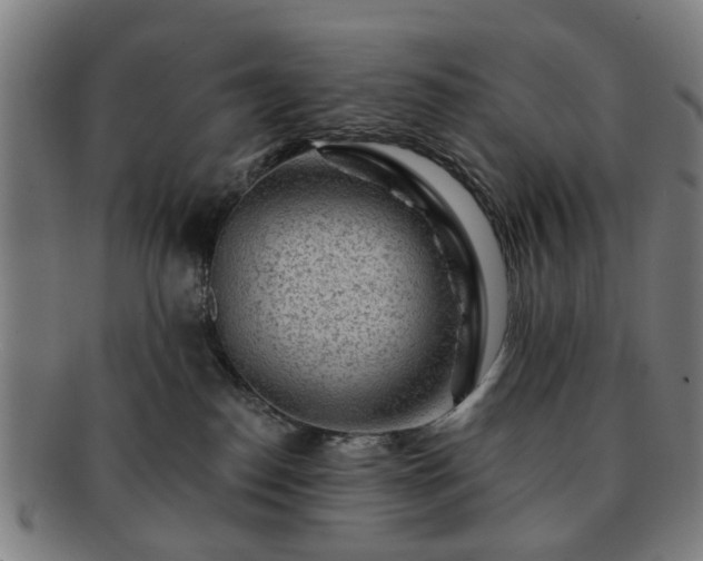 X0000091700186200708311101