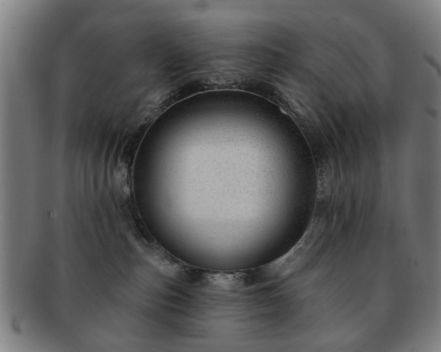 X0000091700187200708311101