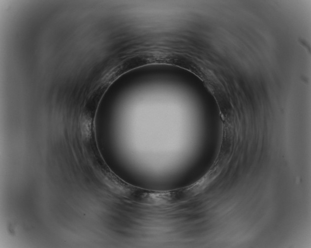 X0000091700188200708311101