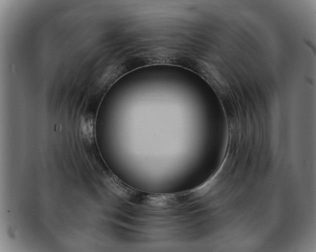 X0000091700190200708311101