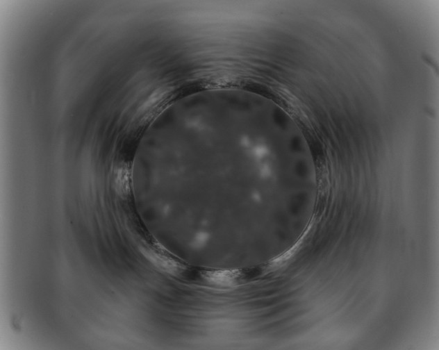 X0000091700191200708311101