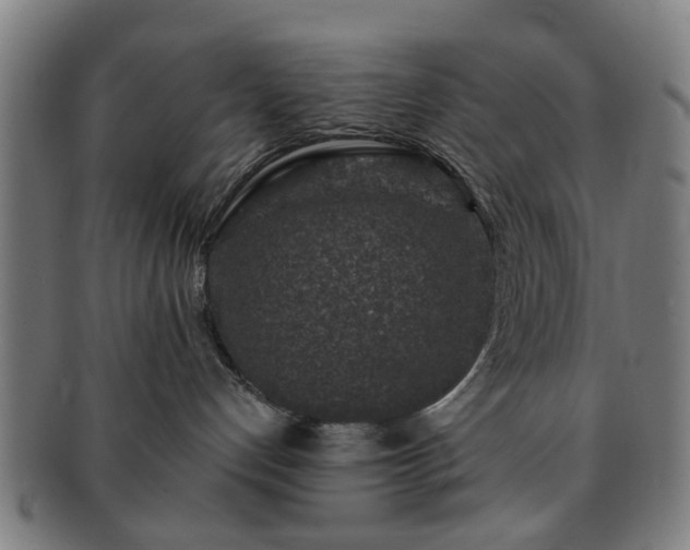 X0000091700192200708311101