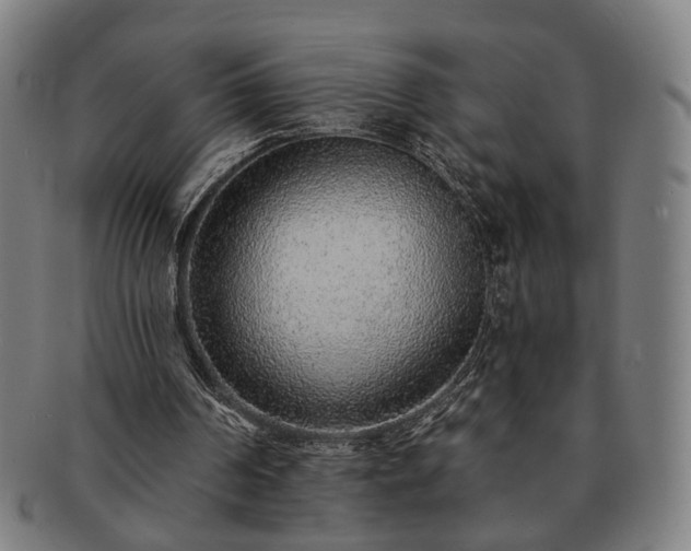 X0000091700194200708311101