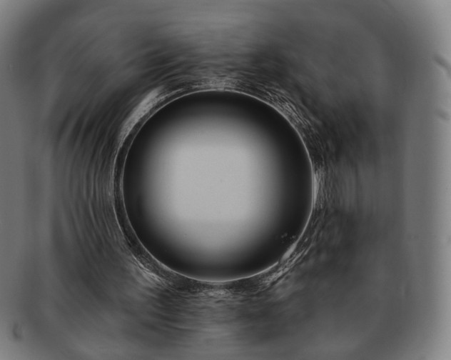 X0000091700195200708311101