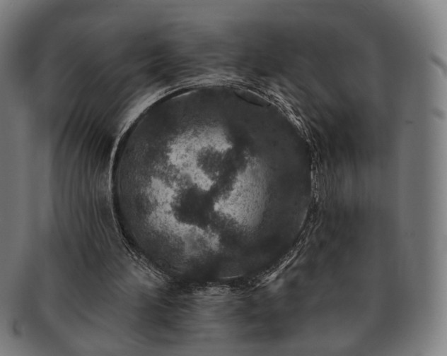 X0000091700196200708311101