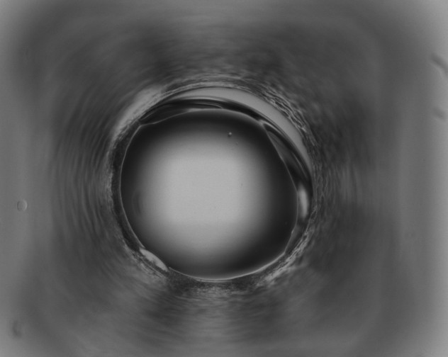 X0000091700197200708311101