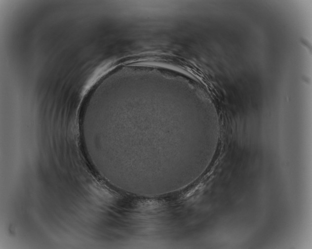 X0000091700198200708311101