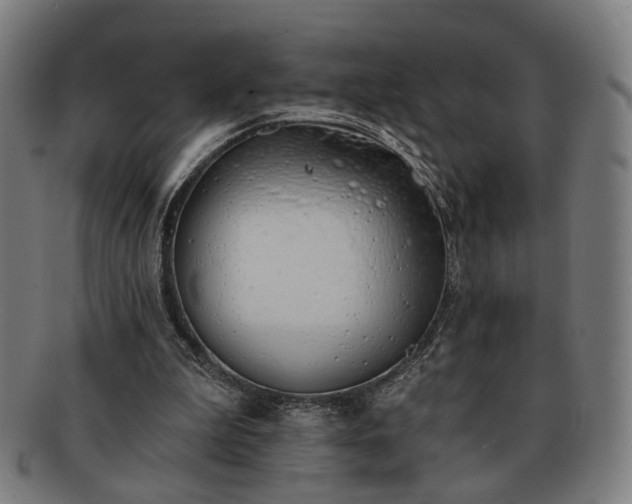 X0000091700199200708311101