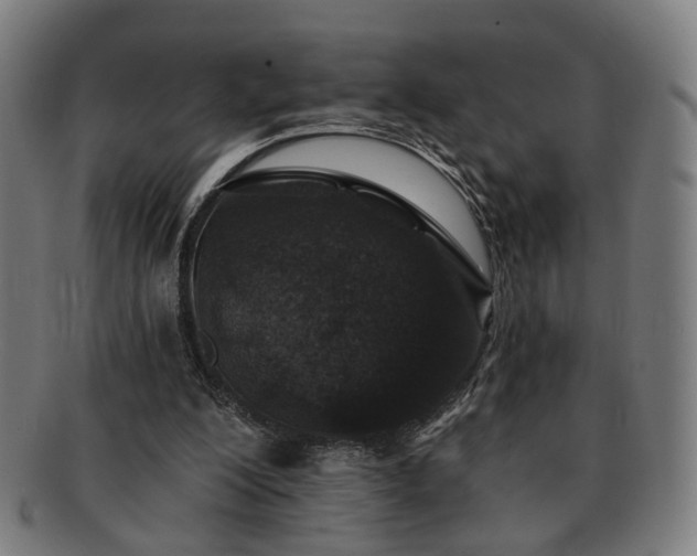 X0000091700200200708311100