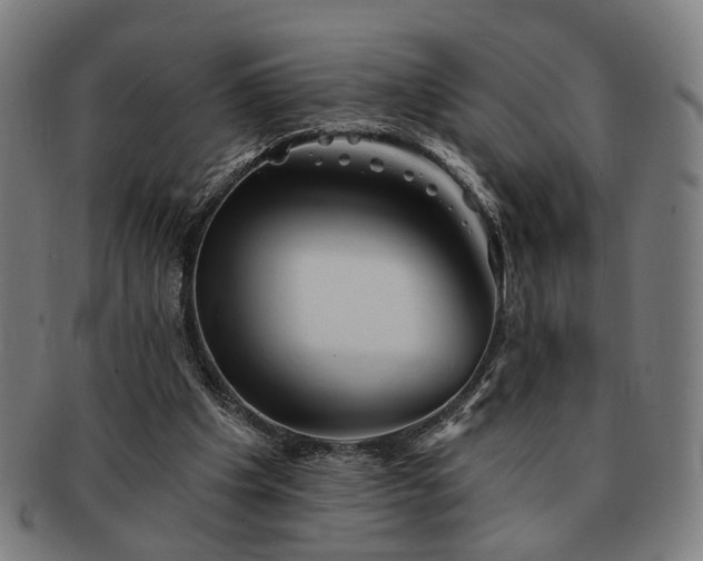 X0000091700201200708311100