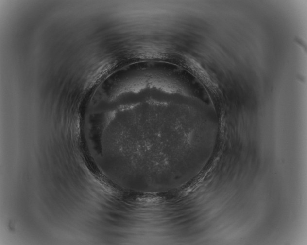 X0000091700202200708311100