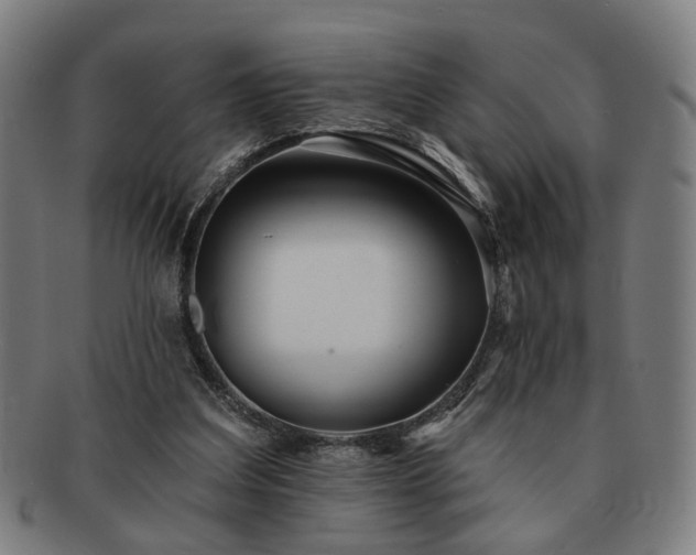 X0000091700203200708311100