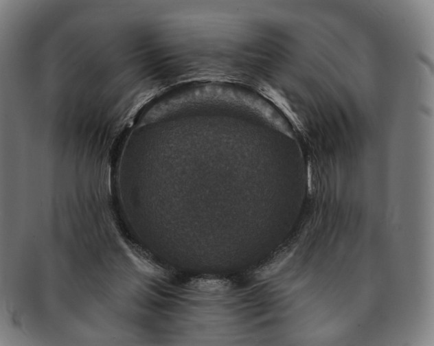 X0000091700205200708311100