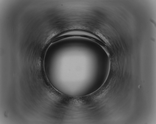 X0000091700207200708311100