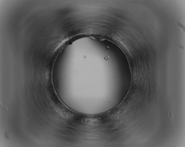 X0000091700208200708311100