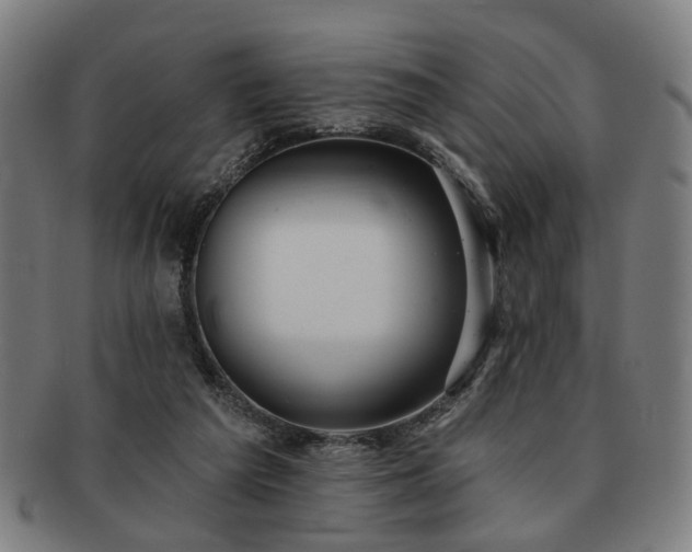 X0000091700209200708311100