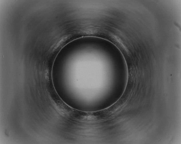 X0000091700212200708311100