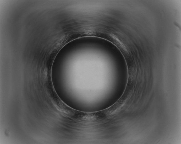 X0000091700213200708311100