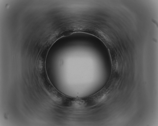 X0000091700215200708311100