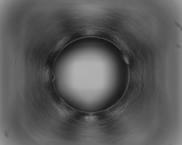 X0000091700216200708311100