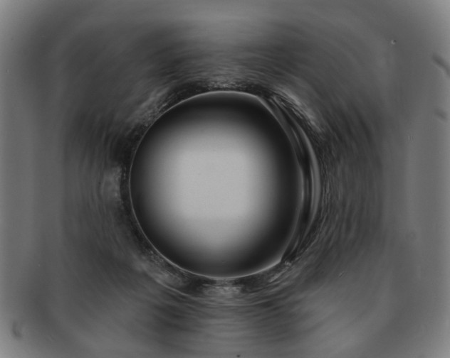 X0000091700217200708311100