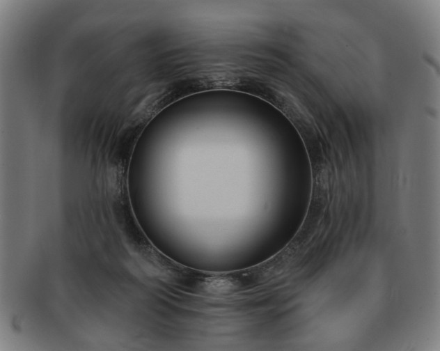 X0000091700218200708311100