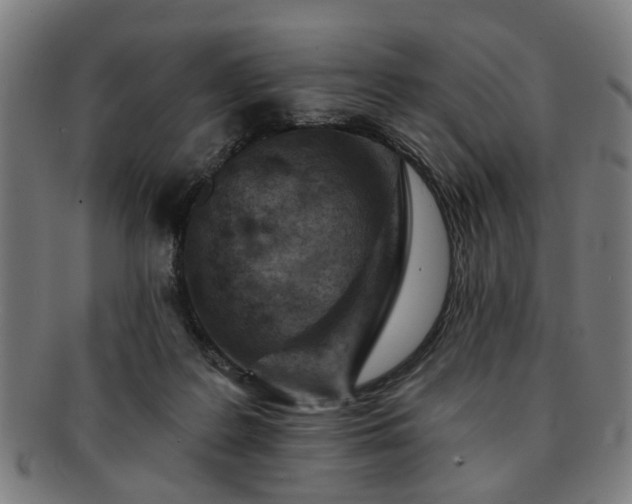 X0000091700219200708311100