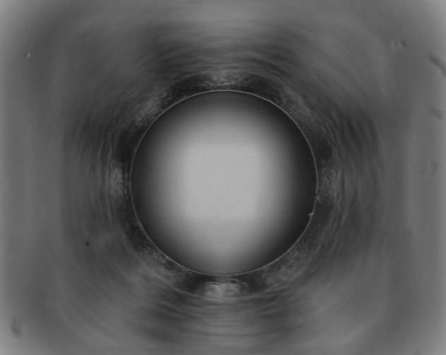 X0000091700220200708311100