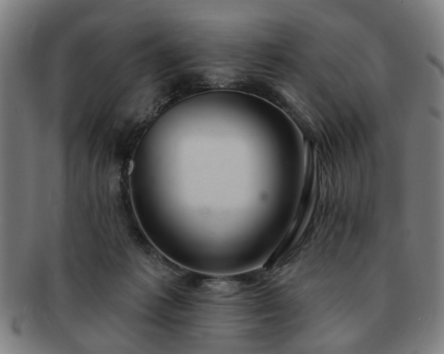 X0000091700221200708311100