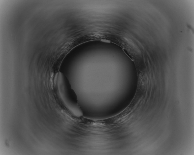 X0000091700223200708311100