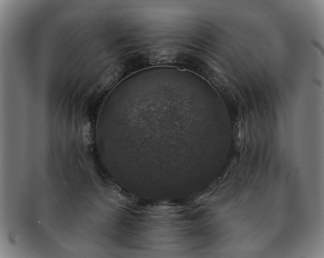 X0000091700224200708311100