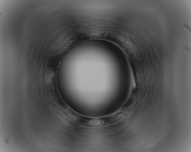 X0000091700225200708311100