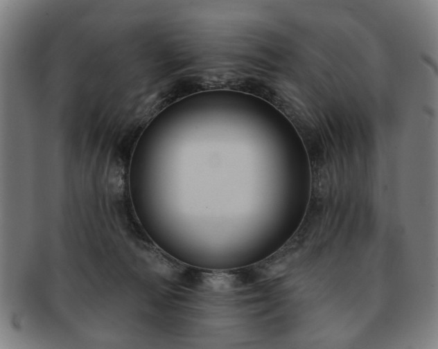 X0000091700226200708311100