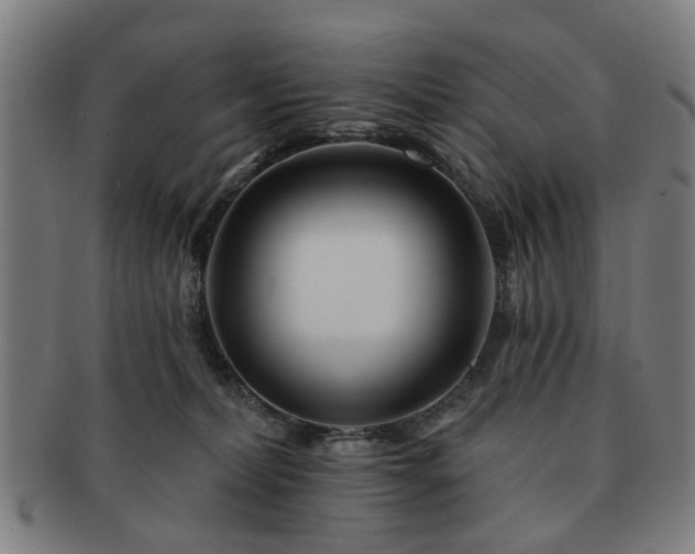 X0000091700228200708311100