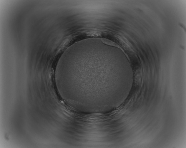 X0000091700229200708311100