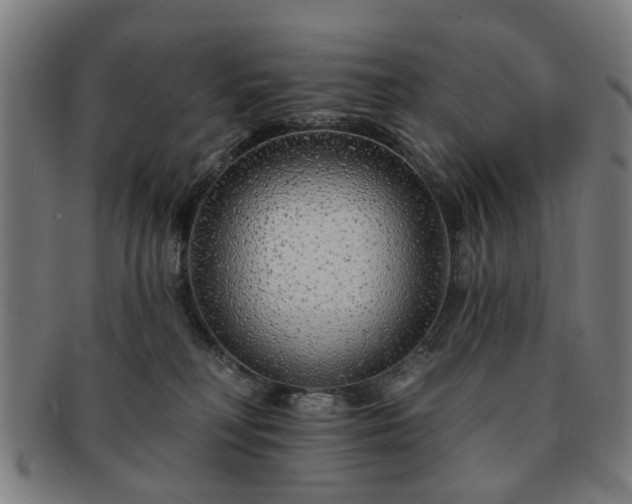 X0000091700230200708311100