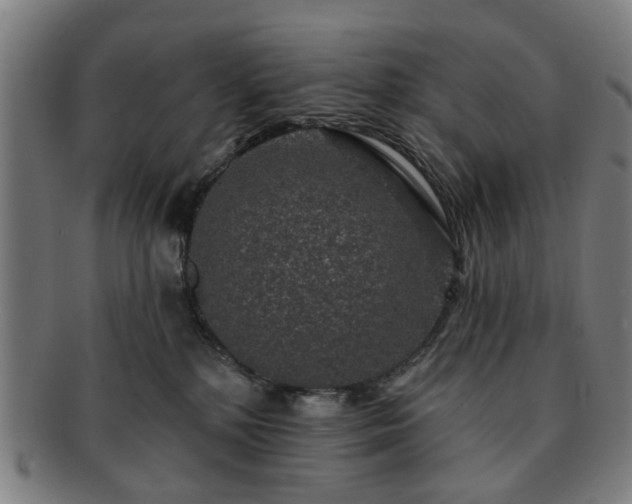 X0000091700232200708311100