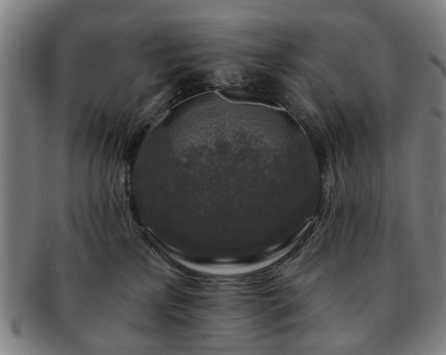 X0000091700233200708311100