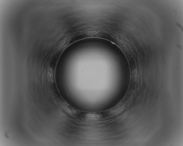 X0000091700234200708311100